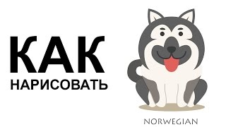 Рисунки собак поэтапно. КАК легко НАРИСОВАТЬ СОБАКУ карандашом