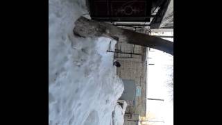 девочка хотела посрать