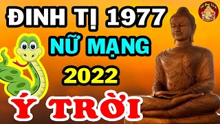 Tử Vi 2022 Tuổi Đinh Tị 1977 Nữ Mạng 3 Điều Phải Nhớ Để Thoát Kiếp Nghèo Khổ Giàu Như Vũ Bão