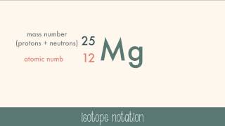 The Nucleus