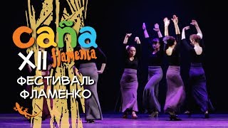 Студия Марины Коробко «Coctel Morenita» / Tangos