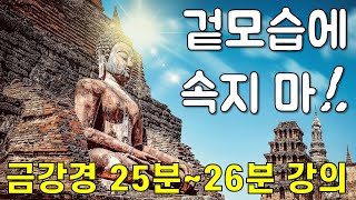 금강경 27강(25분 화무소화분~26분 법신비상분 강의) - 겉모습으로 부처를 찾지 말라
