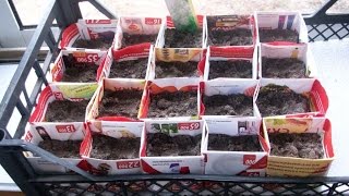 Практичные Поделки Своими Руками. Как за 3 Минуты Сделать Из Бумаги Стаканчики для Рассады