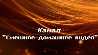 Заставка канала "Смешное домашнее видео"