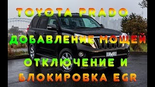 TOYOTA LAND CRUISER PRADO 3.0 Чип-тюнинг Stage-1 (до 221 л.с.) Отключаем, чистим и глушим EGR
