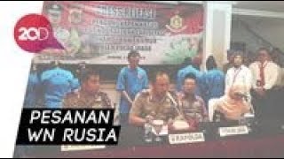 Ini Tampang Sutradara Film Porno Bocah-Perempuan Dewasa