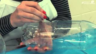 Faça Você Mesmo: veja como transformar uma garrafa pet em brinquedo