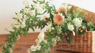 TOATE FLORILE DIN LUME...