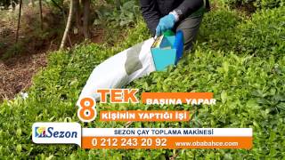 Çay Toplama Makinası Sezon SZ53 | www.obabahce.com