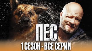 Сериал ПЕС - ПОЛНЫЙ 1 сезон - ВСЕ СЕРИИ ПОДРЯД (1 - 20) | Сериалы ICTV