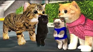СИМУЛЯТОР Маленького КОТЕНКА #6 Беременная кошка родила котика смешное видео для детей Валеришка