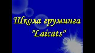 Школа груминга