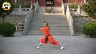 Xiao Hong Quan