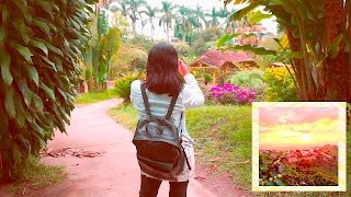 ¿CÓMO TOMAR FOTOS PROFESIONALES CON LA CÁMARA DEL IPHONE? (✩LUCIA✩)