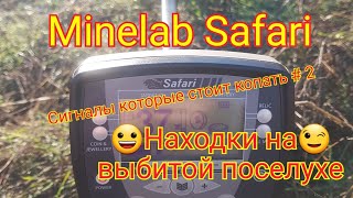 Поиск с Minelab Safari Сигналы которые стоит копать 2 .