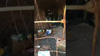 Friend’s phone stolen by crackhead in Hawaii. Find my iphone tracked it to her den