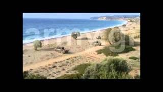 DefenceNet.gr - Βολές - Αξιολόγηση του ΤΟΜΑ BMP-1 με Προσαρμοσμένο Αντιαεροπορικό Πυροβόλο ZU-23