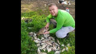 Наловили, что еле унесли. Рыбалка с ночевкой на Рузском водохранилище.