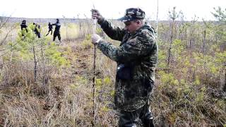 Верховое болото "Святое озеро". Междуреченский ландшафтный парк-заповедник. 04.11.2013