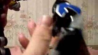 Titan Zords im Megazord Modus