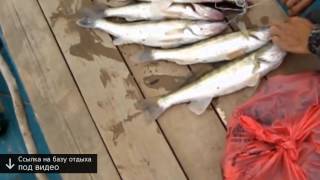 рыбалка зеленга астраханская область рыбалка