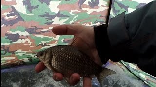 Ловля карася зимой на мормышку. Первый лед.
