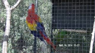 Wildlife World Zoo, Litchfield Park, AZ (Part 2)