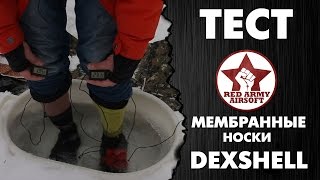 Тест. Мембранные носки DexShell, тазик с ледяной водой, датчики температуры и мат на весь лес.
