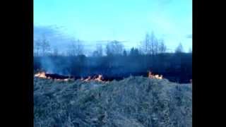 Горит сухая трава, в городе и районе