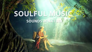 Музыка природы. Звуки природы. Душевная музыка