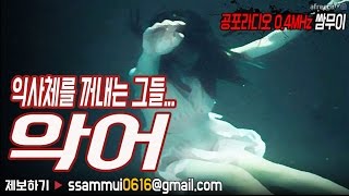 [쌈무이-공포라디오 단편] 악어이야기("서 있는 시체는 건드리지 마라") (괴담/무서운이야기/공포/귀신/호러/공포이야기/심령)