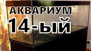 Новый аквариум дома