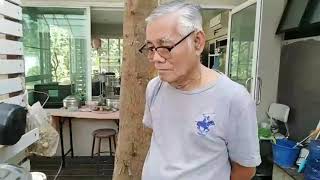 น้ำต้มใบโหระพา  เพื่อสุขภาพ