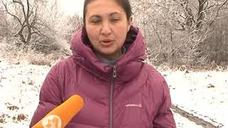 Жители деревни Шагарово просят курские власти провести дорогу