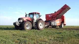 Трактор Кейс Пума 210 и комбайн Девульф. Case IH Puma 210 and De Wulf RJS