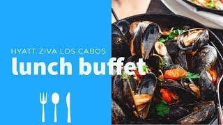 Hyatt Ziva Los Cabos Lunch Buffet