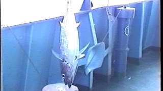 Рыбалка на Тунца просто СУПЕР в Средиземке