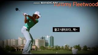 토미플릿우드 스윙 연습영상