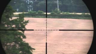 240 yard crow shot with HW100 sub 12ftlbs