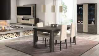NUEVAS TENDENCIAS SALONES MODERNOS 2012 - 2