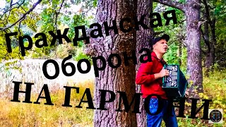 ПРО ДУРАЧКА (Гражданская Оборона, Егор Летов на гармони cover)
