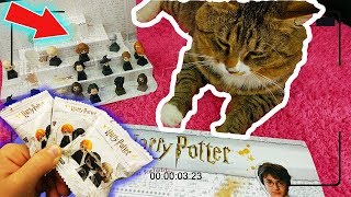 Гарри Поттер Лента КОТ ТИГРА РАСПАКОВКА Новая Акция Собирай ГЕРОЕВ ВОЛШЕБНОГО МИРА В ЛЕНТЕ | Pet Cat