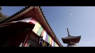 Scenery of Onomichi city Hiroshima Japan.  尾道をゆく