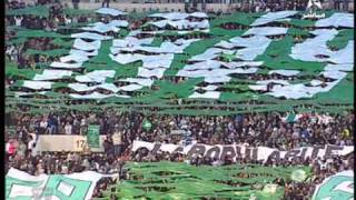tifo RCA & FAR
