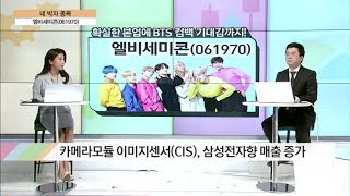 [네박자 종목]'BTS' 관련주에서 ‘반도체 실적주’ 변신! '엘비세미콘' / (증시, 증권)