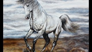 Рисуем Лошадь (в яблоках)