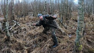 Находка у болота. Такое я нашел впервые в жизни!