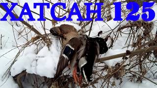 охота с пневматикой хатсан 125 PNEUMATIC DUCK HUNTING