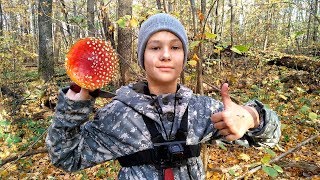 Поход с Сыном за грибами! Первая Тихая охота Глебуса или грибалка?:)