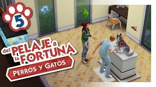 Del Pelaje a la Fortuna - Cap 5 (Los Sims 4 Perros y Gatos)